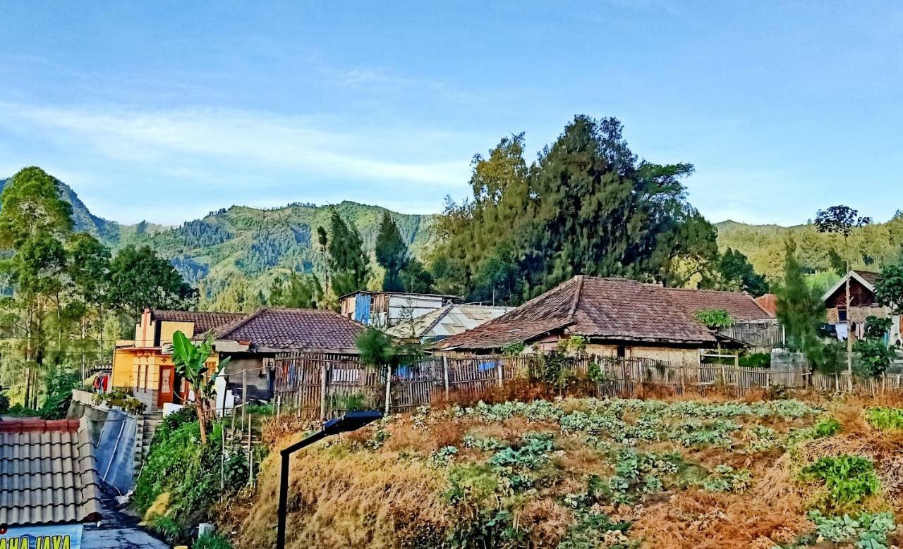 Homestay Anggun برومو المظهر الخارجي الصورة